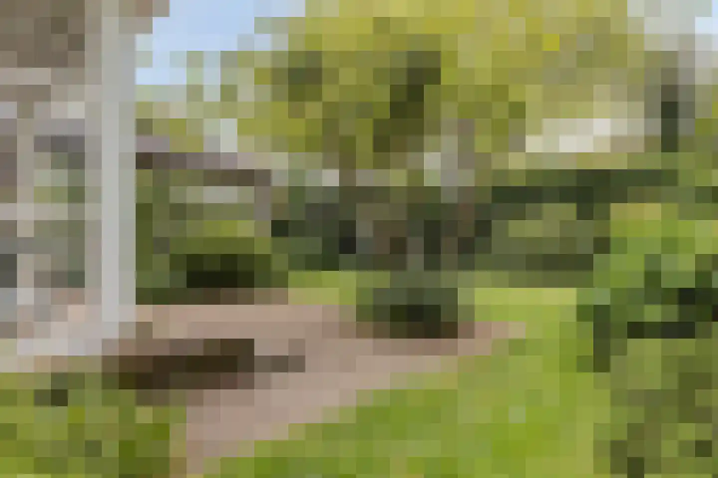Sprencklaan 5 Middelburg thumbnail 41