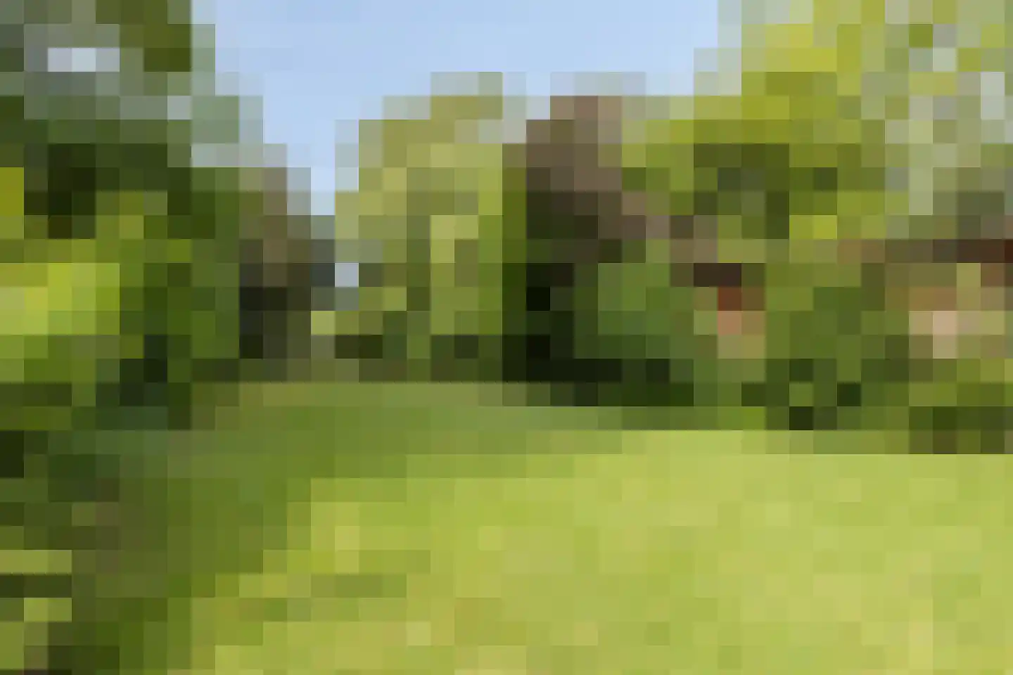 Sprencklaan 5 Middelburg thumbnail 42