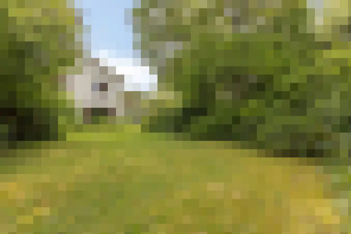 Sprencklaan 5 Middelburg thumbnail 44