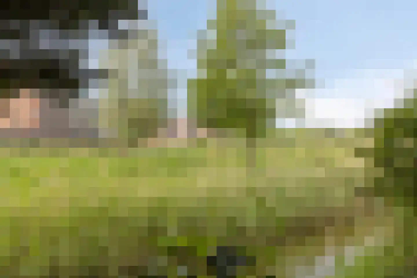 Sprencklaan 5 Middelburg thumbnail 45