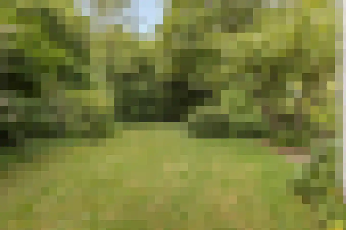 Sprencklaan 5 Middelburg thumbnail 46