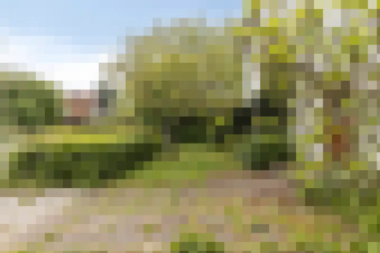Sprencklaan 5 Middelburg thumbnail 49