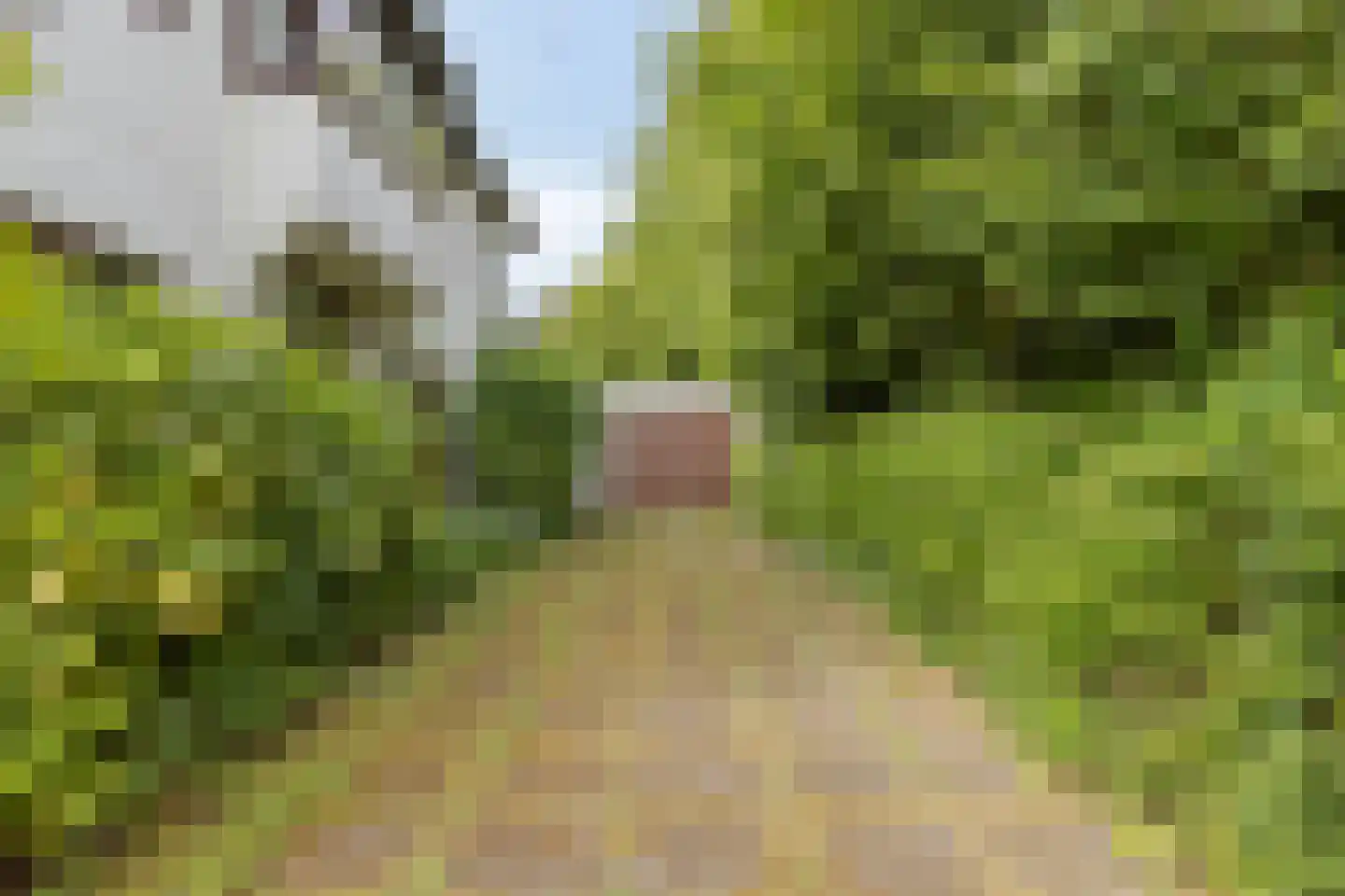 Sprencklaan 5 Middelburg thumbnail 50