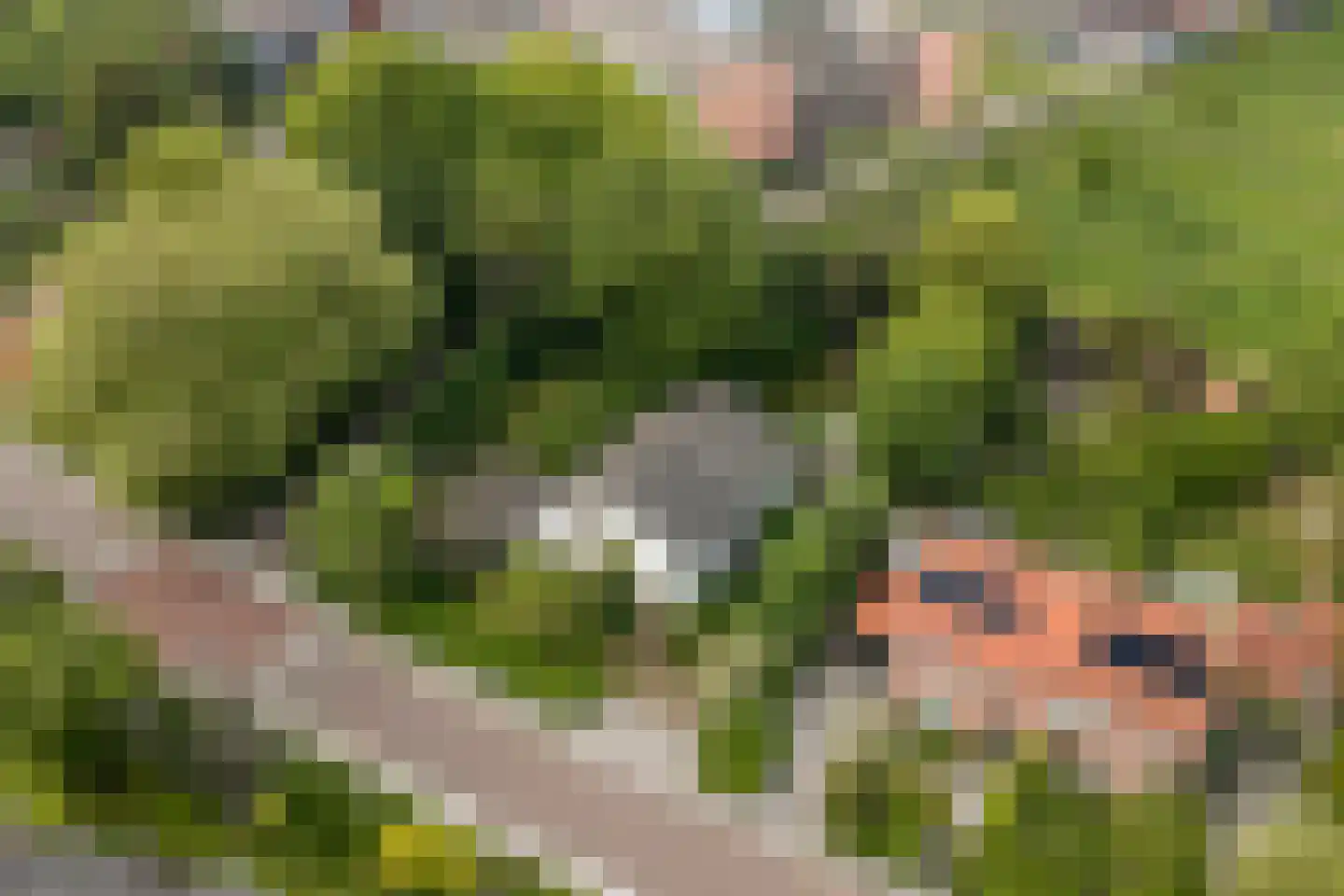 Sprencklaan 5 Middelburg thumbnail 58