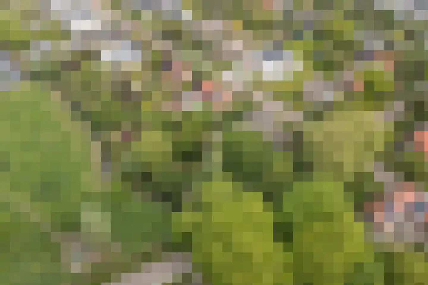 Sprencklaan 5 Middelburg thumbnail 60