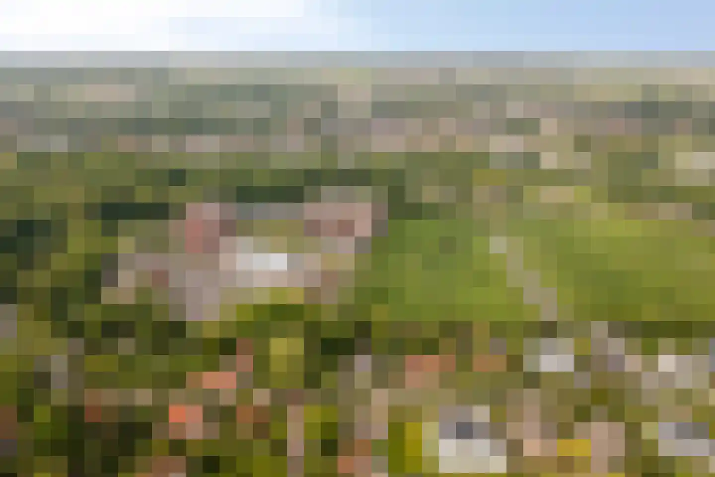 Sprencklaan 5 Middelburg thumbnail 63