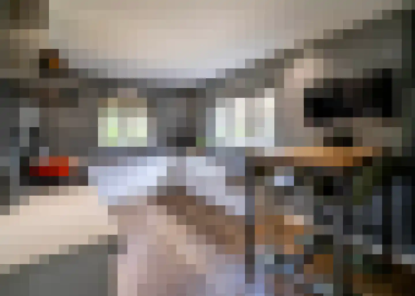 Sprendlingenstraat 2 Oisterwijk thumbnail 14