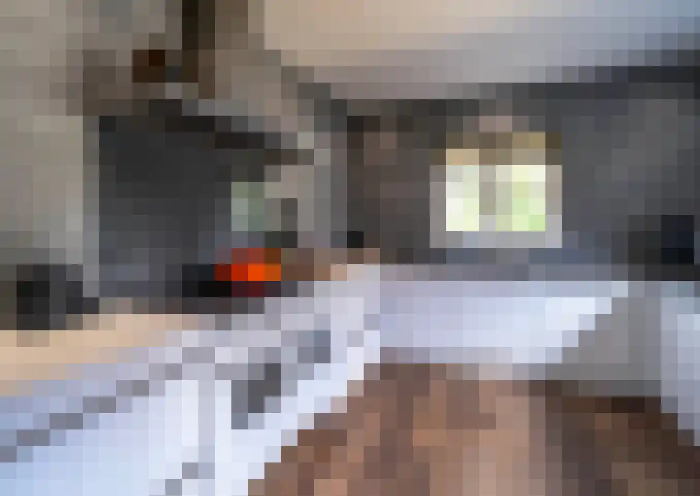 Sprendlingenstraat 2 Oisterwijk thumbnail 15