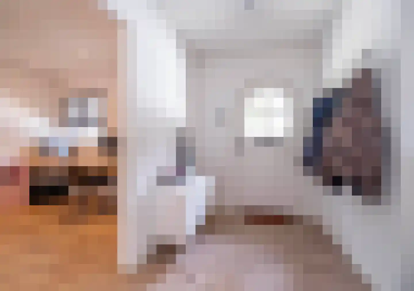 Sprendlingenstraat 2 Oisterwijk thumbnail 18