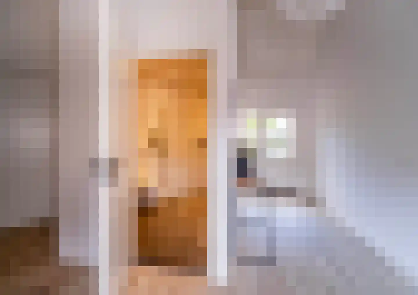 Sprendlingenstraat 2 Oisterwijk thumbnail 20