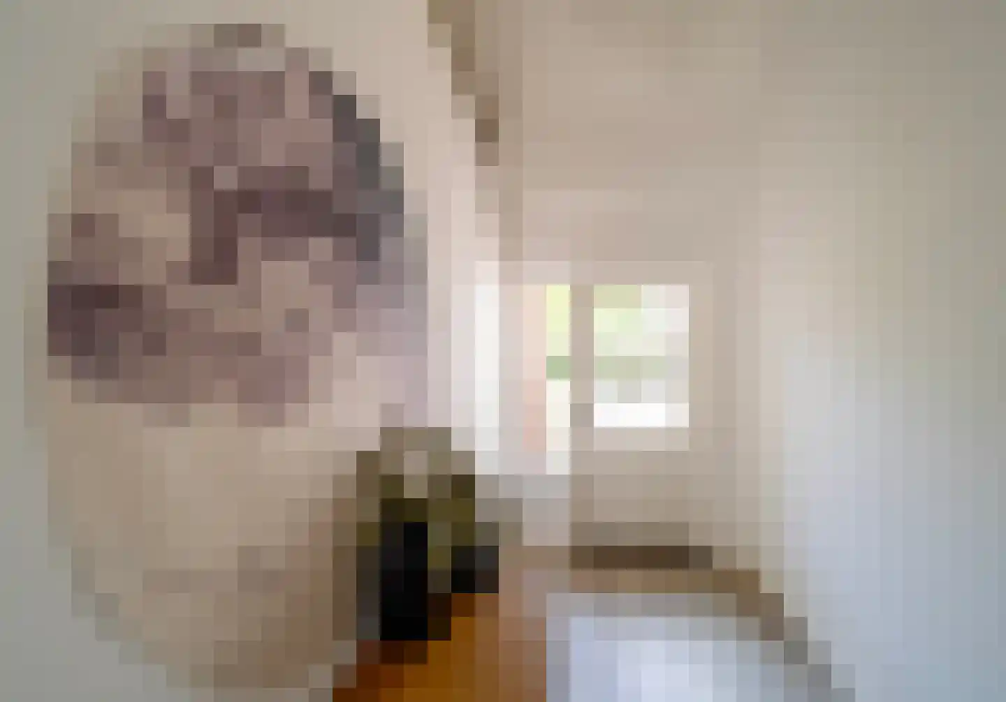 Sprendlingenstraat 2 Oisterwijk thumbnail 24