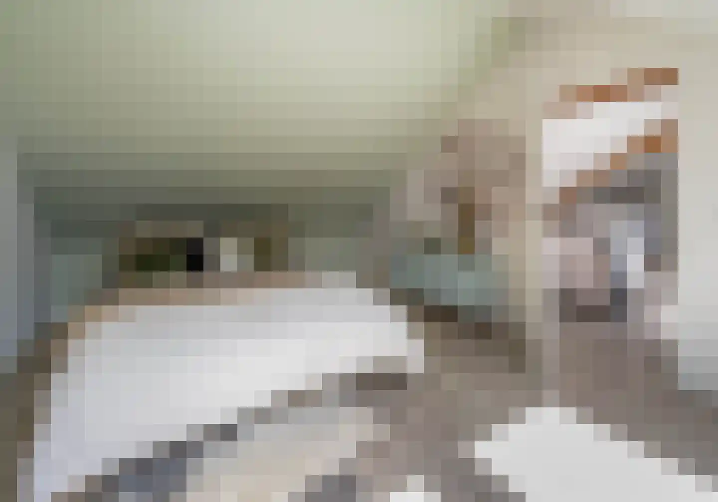 Sprendlingenstraat 2 Oisterwijk thumbnail 38