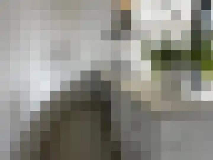 Sprendlingenstraat 54 Oisterwijk thumbnail 10