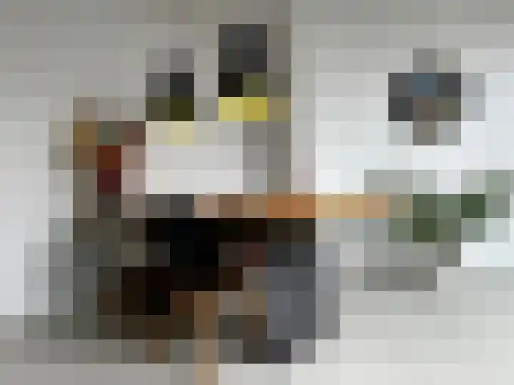 Sprendlingenstraat 54 Oisterwijk thumbnail 17