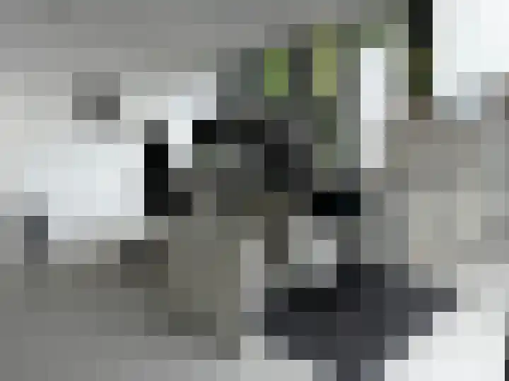 Sprendlingenstraat 54 Oisterwijk thumbnail 19