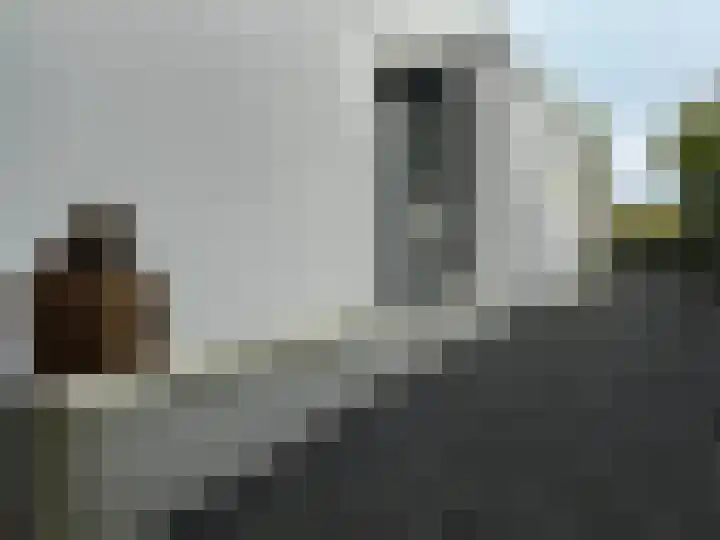 Sprendlingenstraat 54 Oisterwijk thumbnail 21
