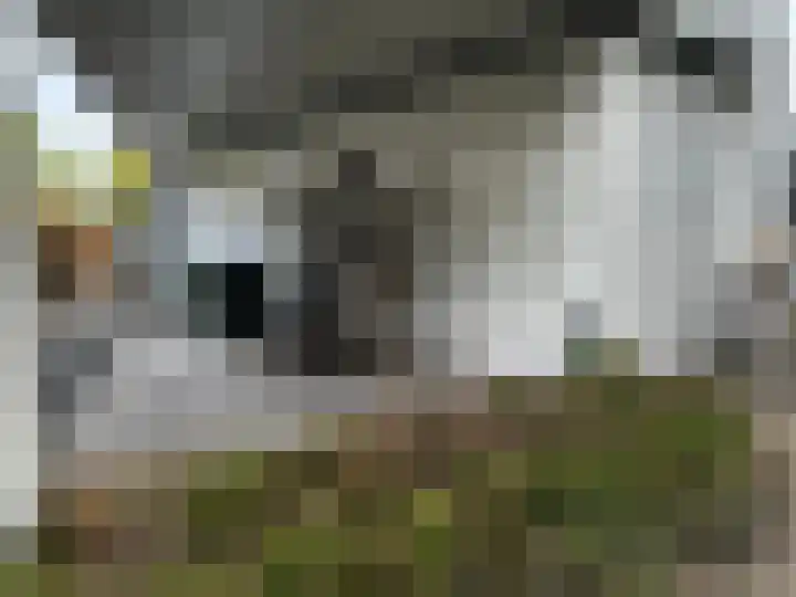 Sprendlingenstraat 54 Oisterwijk thumbnail 25