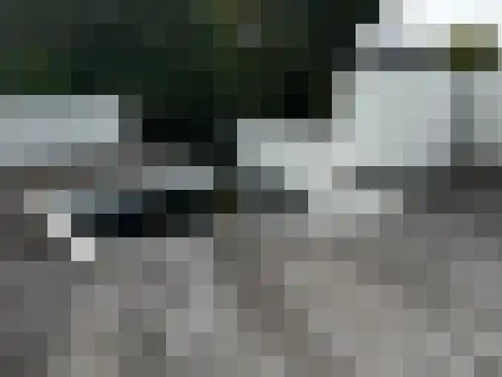 Sprendlingenstraat 54 Oisterwijk thumbnail 33