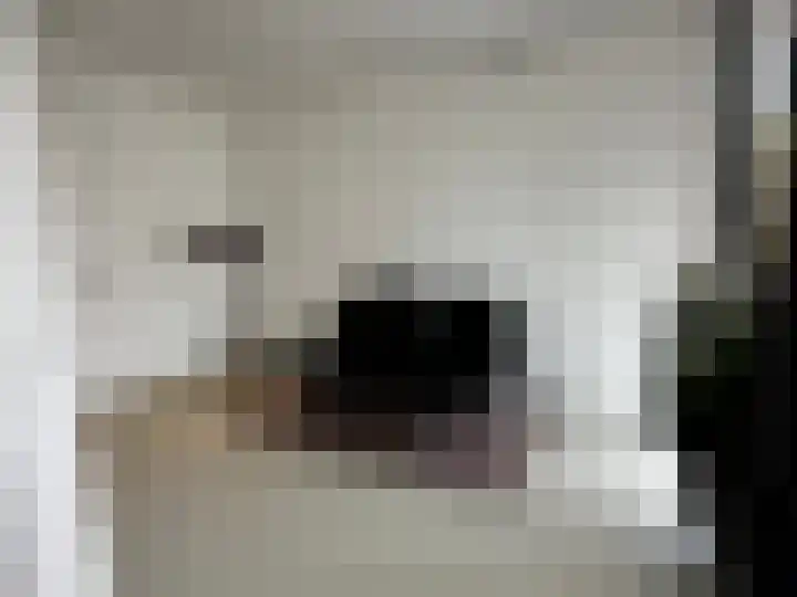 Sprendlingenstraat 54 Oisterwijk thumbnail 4