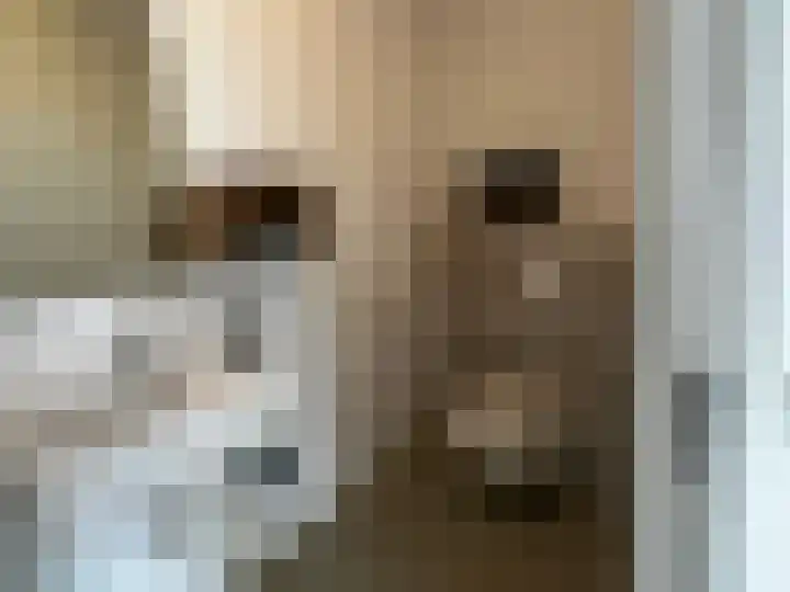 Sprendlingenstraat 54 Oisterwijk thumbnail 5