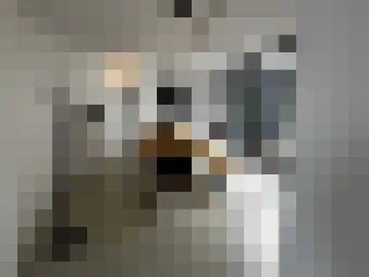 Sprendlingenstraat 54 Oisterwijk thumbnail 8