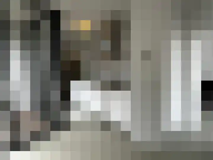Sprendlingenstraat 54 Oisterwijk thumbnail 9
