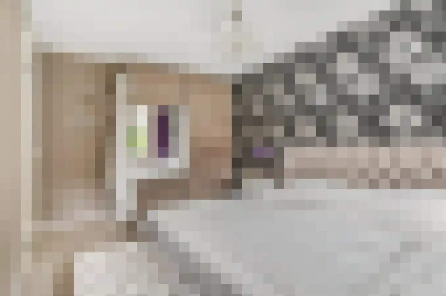 Sprengenberg 25 Ede thumbnail 14