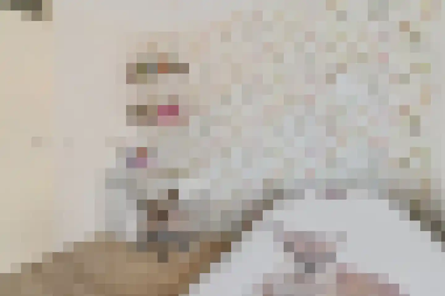 Sprengenberg 25 Ede thumbnail 19