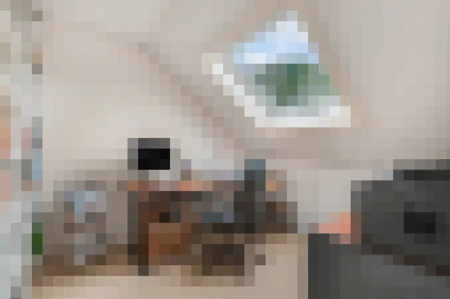 Sprengenberg 25 Ede thumbnail 26