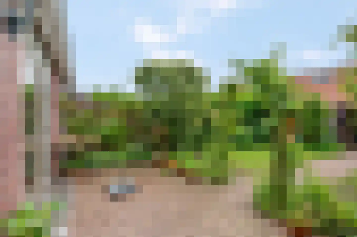Sprengenberg 25 Ede thumbnail 30