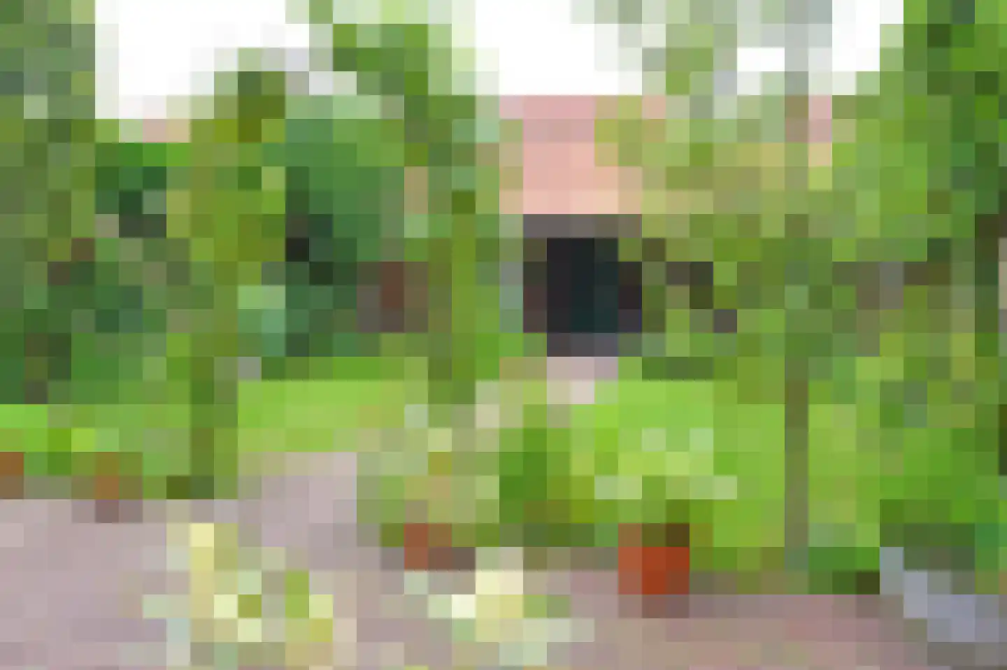 Sprengenberg 25 Ede thumbnail 32