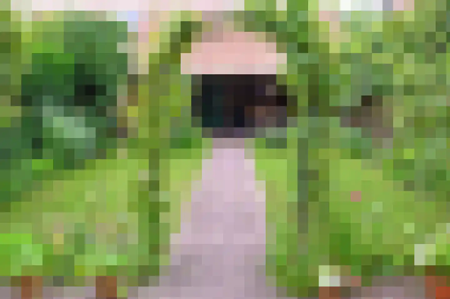 Sprengenberg 25 Ede thumbnail 33