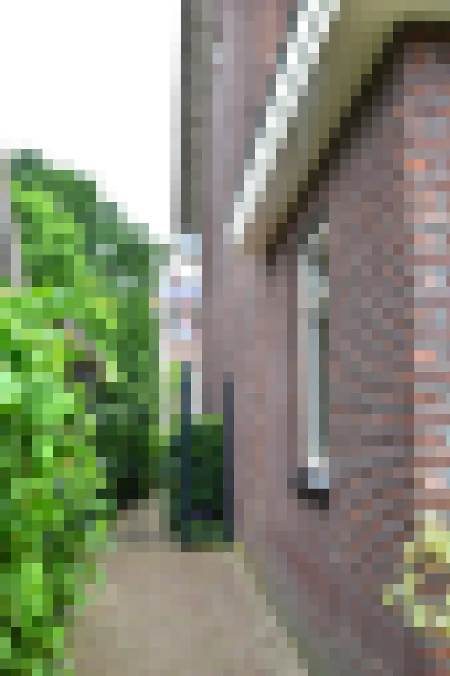 Sprengenberg 25 Ede thumbnail 40