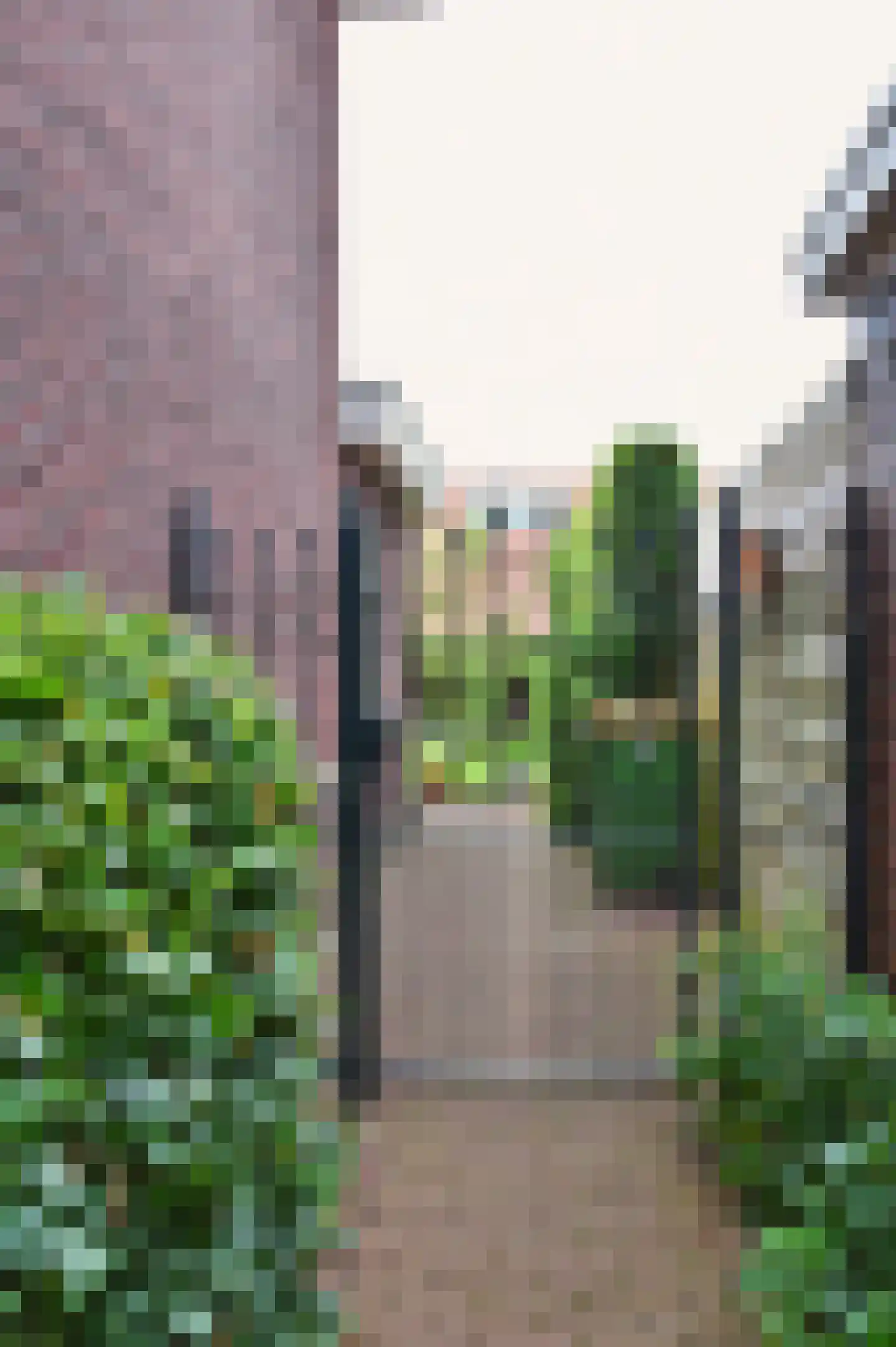 Sprengenberg 25 Ede thumbnail 41