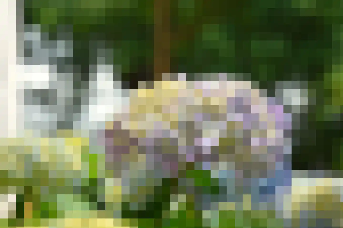 Sprengenberg 25 Ede thumbnail 43