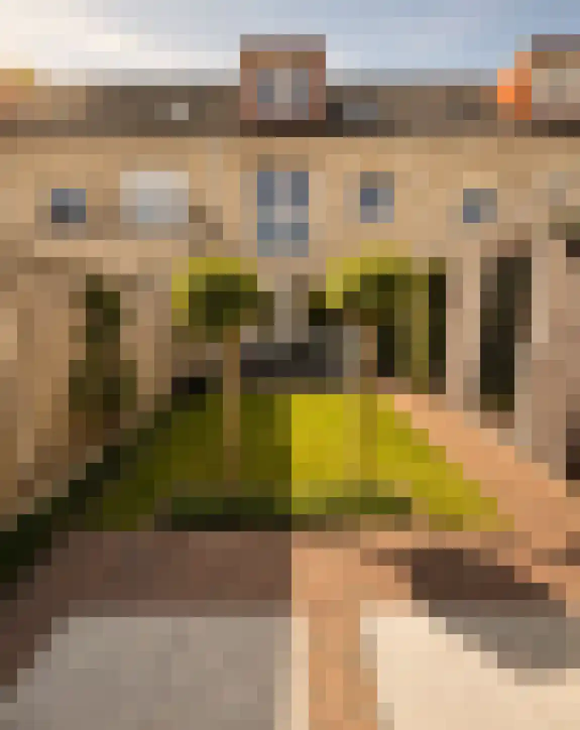 Sprengenberg 90 Amersfoort thumbnail 31
