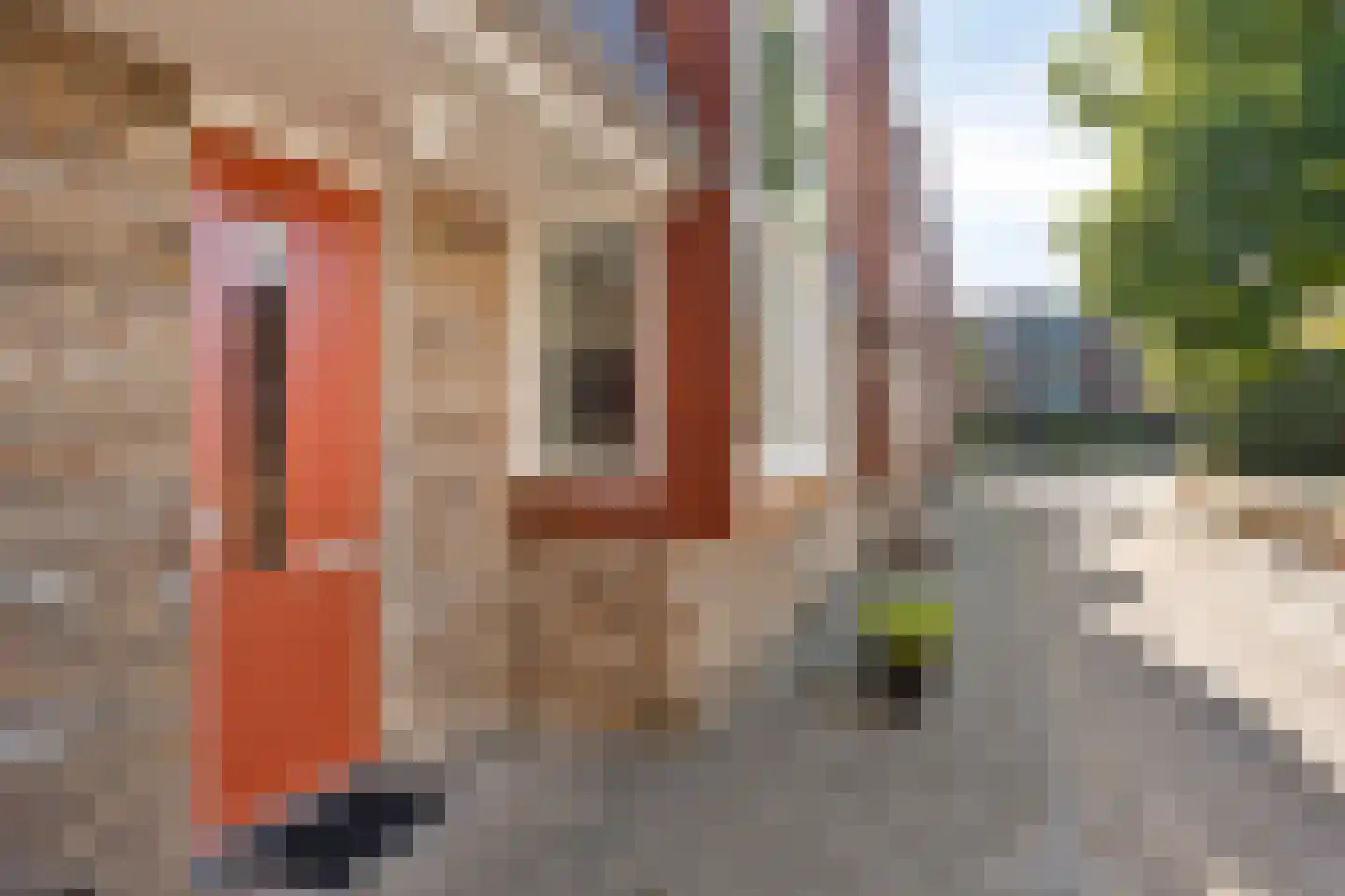 Sprengenberg 90 Amersfoort thumbnail 8