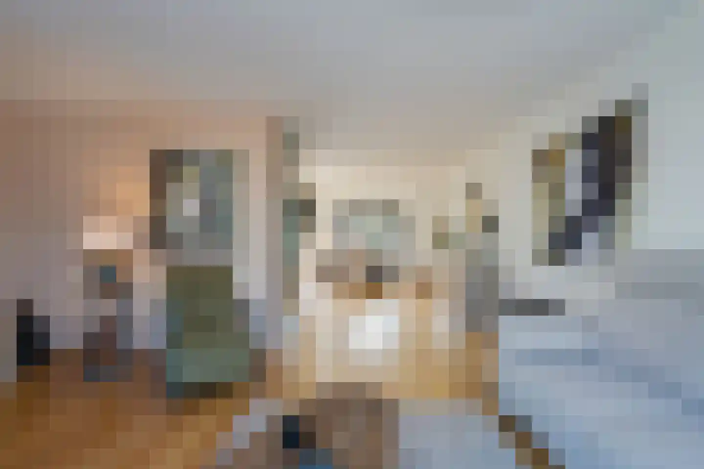 Sprengenbergweide 16 Helmond thumbnail 13