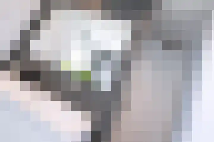 Sprengenhof 15 Laag-Soeren thumbnail 20