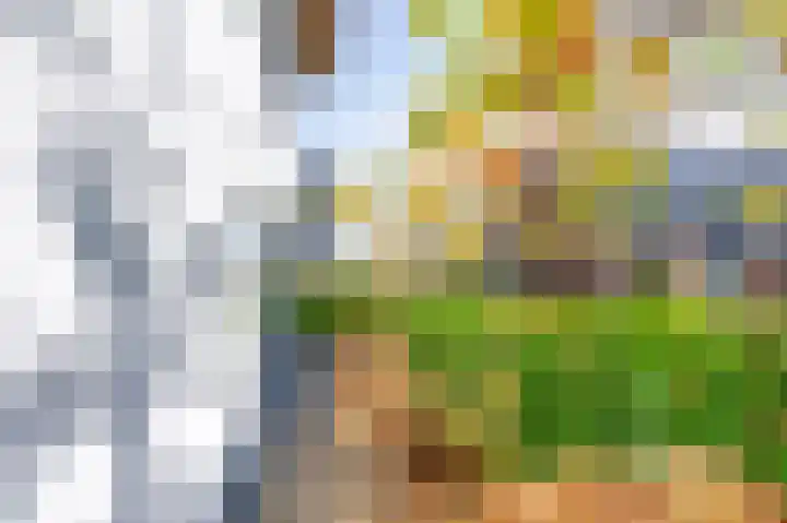 Sprengenhof 15 Laag-Soeren thumbnail 27
