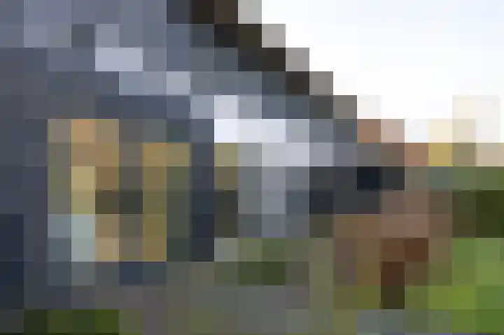 Sprengenhof 15 Laag-Soeren thumbnail 30