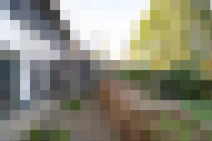 Sprengenhof 15 Laag-Soeren thumbnail 34