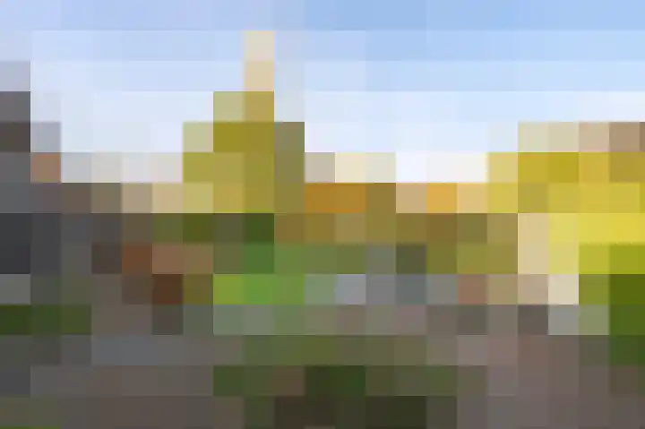 Sprengenhof 15 Laag-Soeren thumbnail 35