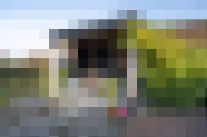 Sprengenhof 15 Laag-Soeren thumbnail 37