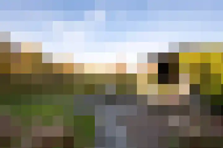 Sprengenhof 15 Laag-Soeren thumbnail 38