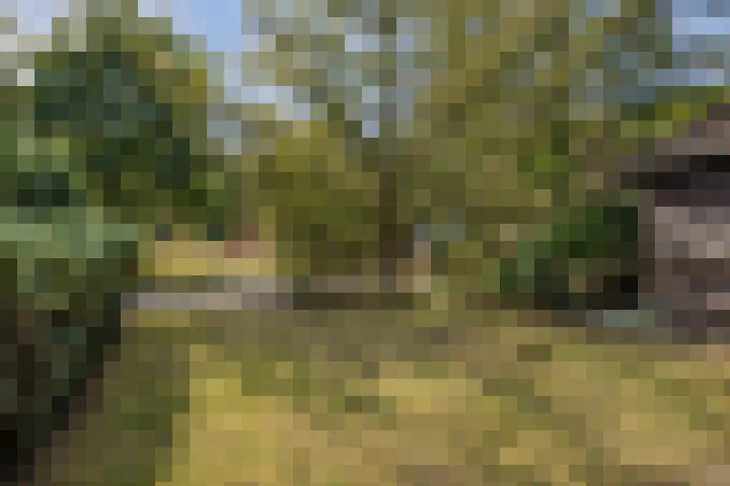 Sprengenkampweg 20 Vaassen thumbnail 16