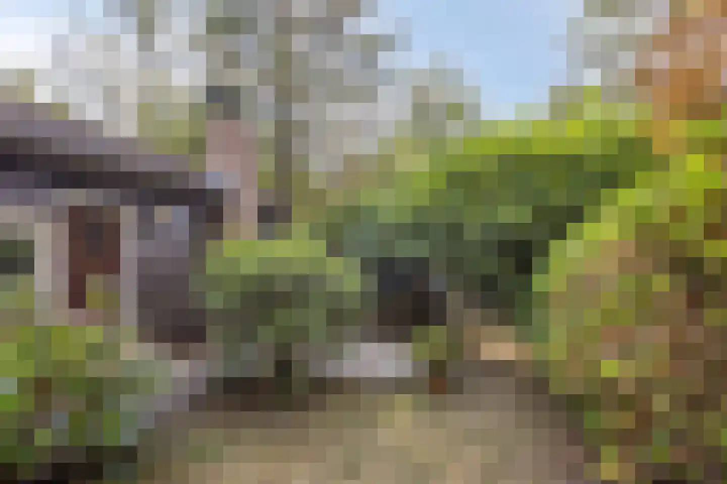 Sprengenkampweg 20 Vaassen thumbnail 20