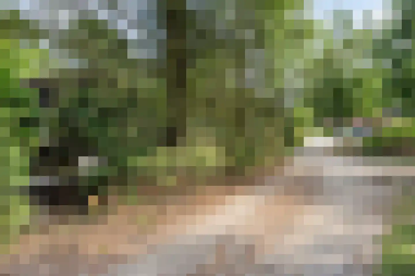 Sprengenkampweg 20 Vaassen thumbnail 23