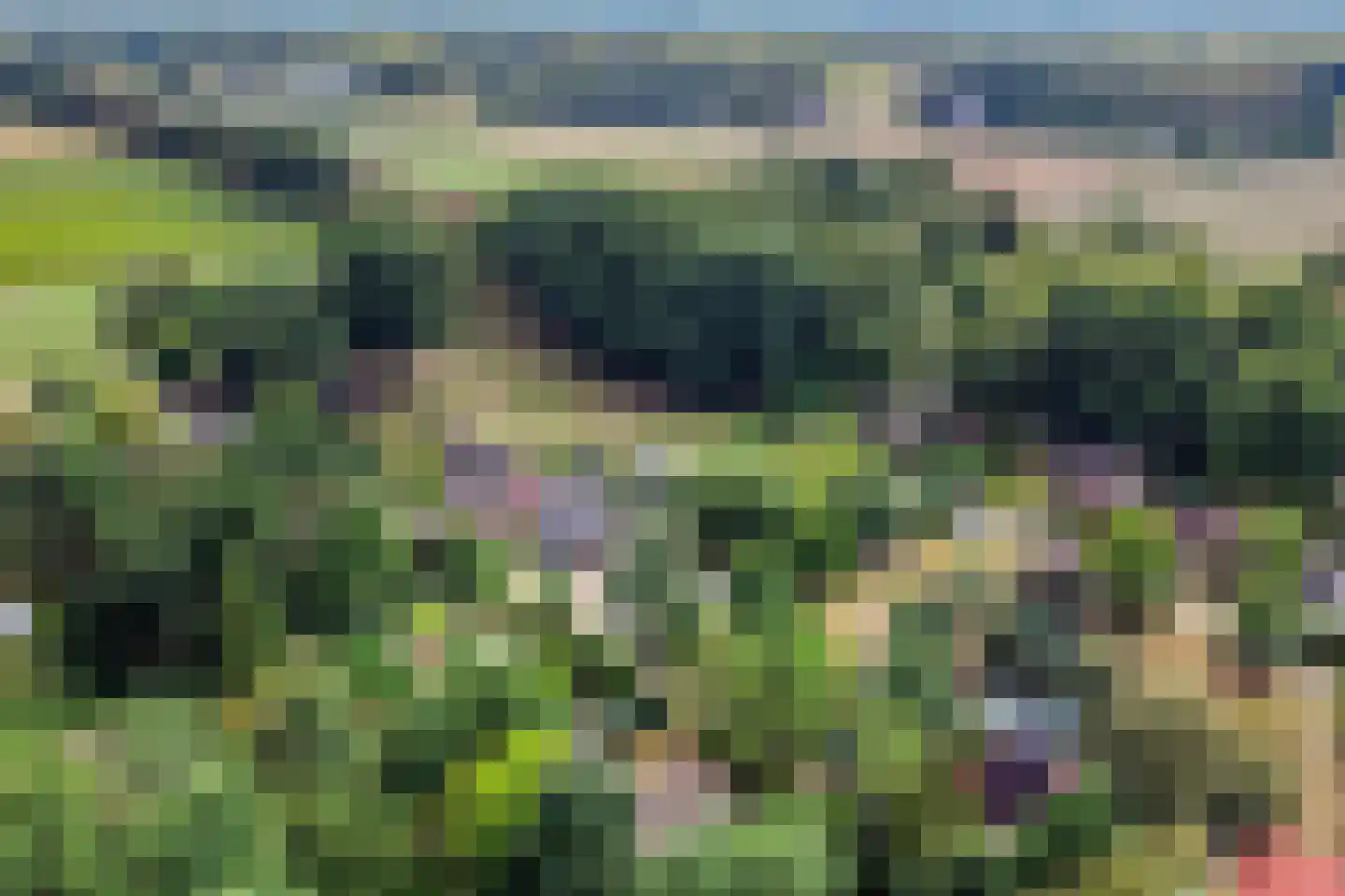 Sprengenkampweg 20 Vaassen thumbnail 26