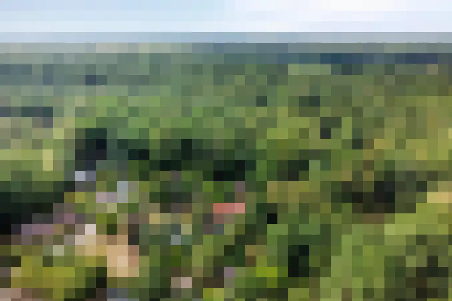 Sprengenkampweg 20 Vaassen thumbnail 27